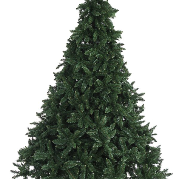 Albero Nielsen H240