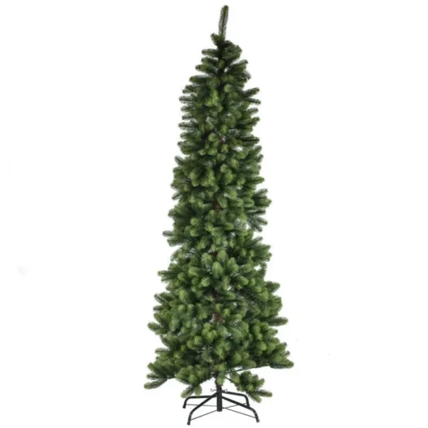 Albero Monte amiata