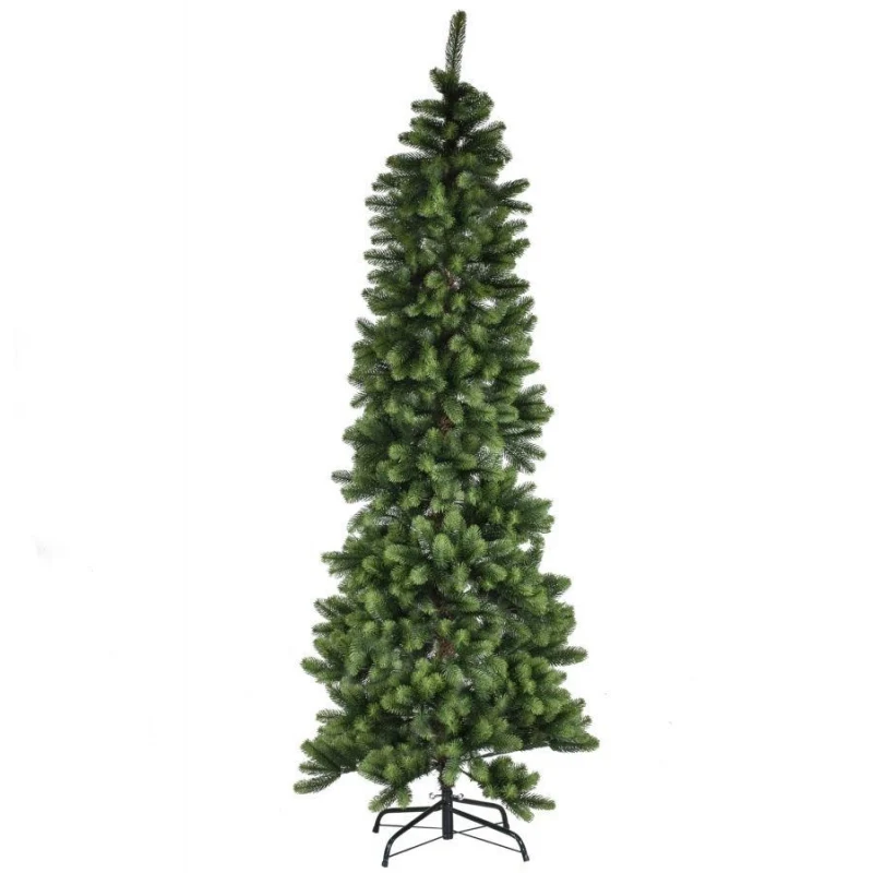 Albero Monte amiata